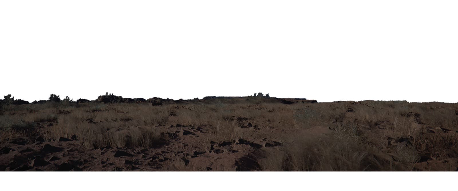 Bared Fang in Crimson Desert